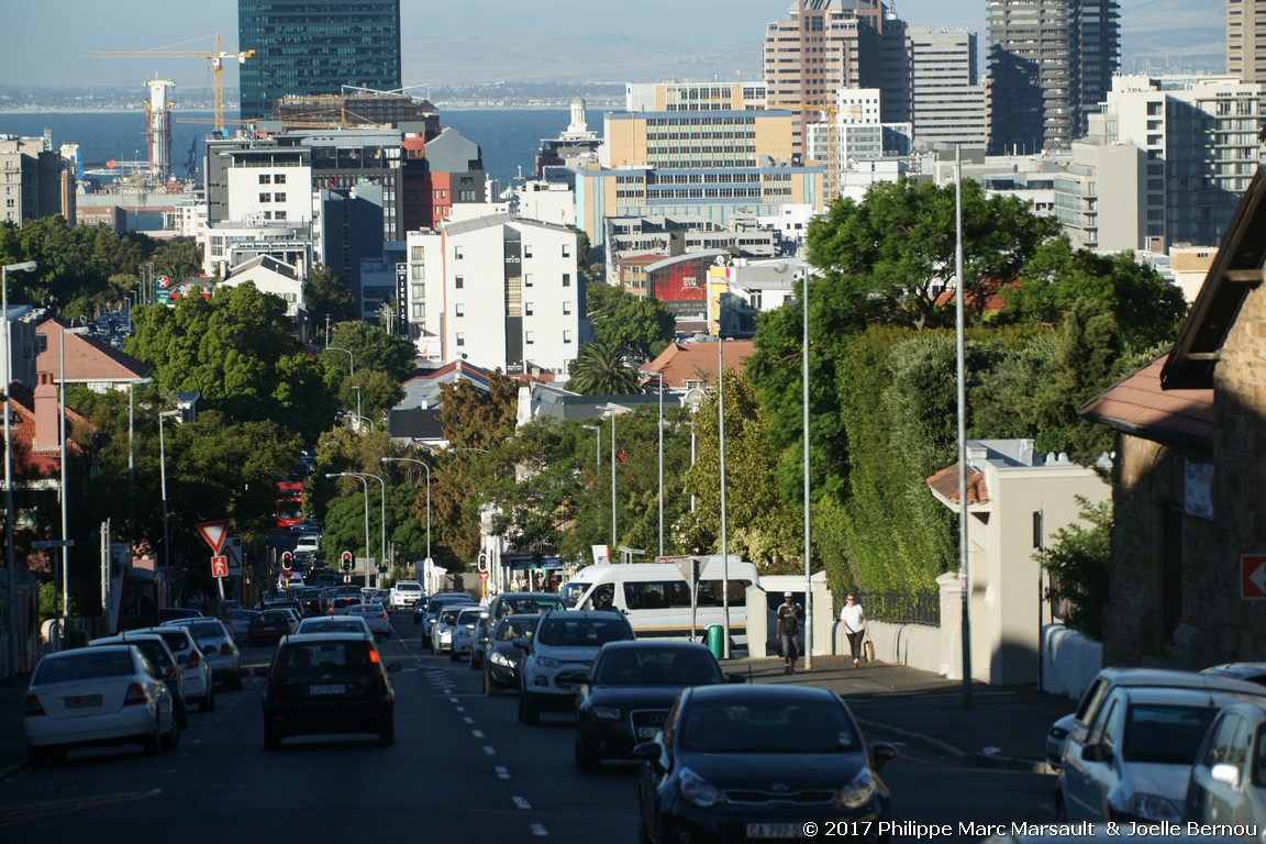 /ecran/Afrique_Sud_2017_0093.jpg