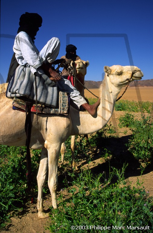 /ecran/algerie_hoggar_023.jpg