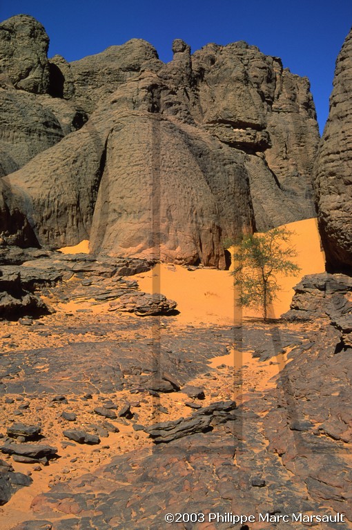 /ecran/algerie_hoggar_040.jpg