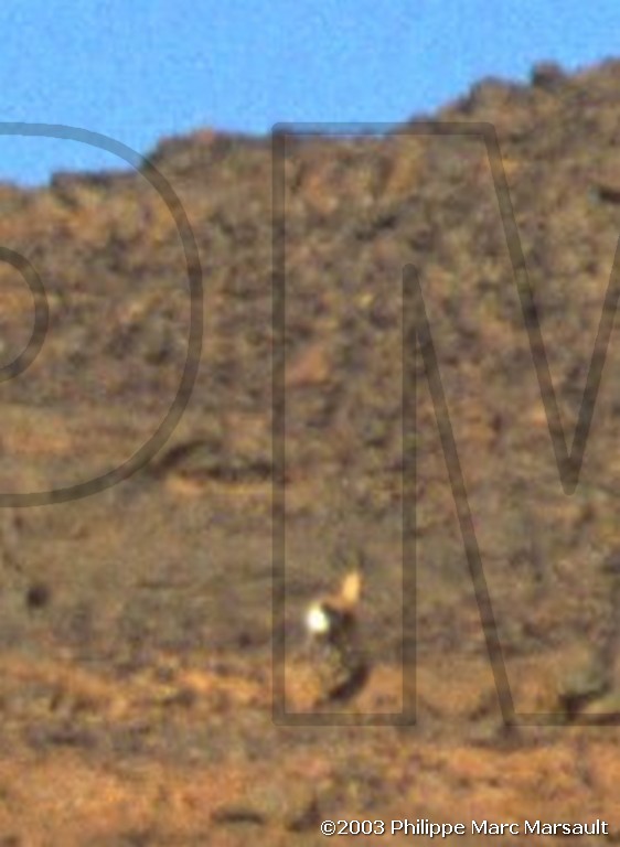 /ecran/algerie_hoggar_086.jpg