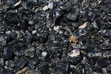 vignette Armenie_2018_0080.jpg 