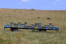 vignette Armenie_2018_0497.jpg 