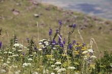 vignette Armenie_2018_0533.jpg 