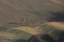 vignette Armenie_2018_0544.jpg 