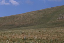 vignette Armenie_2018_0553.jpg 