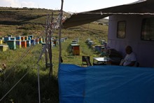 vignette Armenie_2018_0575.jpg 