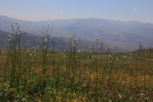 vignette Armenie_2018_0695.jpg 