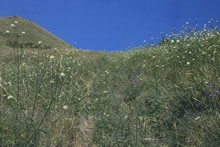 vignette Armenie_2018_0696.jpg 