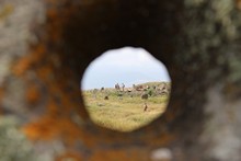 vignette Armenie_2018_0890.jpg 