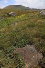 vignette Armenie_2018_0919.jpg 