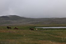 vignette Armenie_2018_0929.jpg 