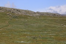 vignette Armenie_2018_1050.jpg 