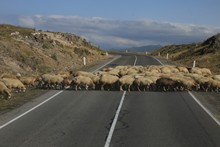 vignette Armenie_2018_1075.jpg 