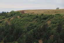 vignette Armenie_2018_1228.jpg 