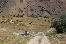 vignette Armenie_2018_1402.jpg 