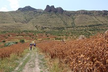 vignette Armenie_2018_1411.jpg 