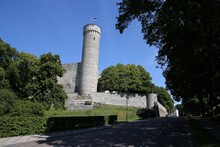 vignette 2023_Baltes_0316.jpg 