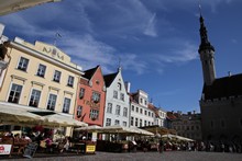 vignette 2023_Baltes_0375.jpg 