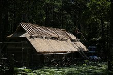 vignette 2023_Baltes_0410.jpg 