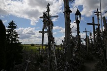 vignette 2023_Baltes_0768.jpg 