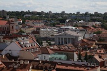 vignette 2023_Baltes_0917.jpg 