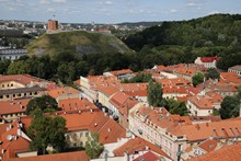 vignette 2023_Baltes_0924.jpg 