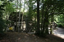 vignette 2023_Baltes_1019.jpg 