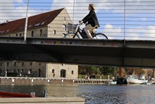 vignette 2023_Baltes_1501.jpg 