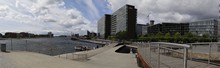 vignette 2023_Baltes_1653.jpg 