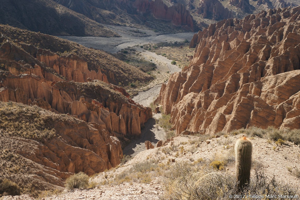 /ecran/Bolivie_0585.jpg