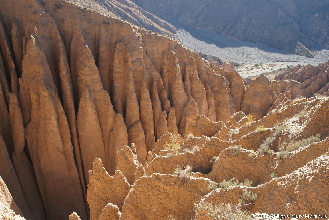 /ecran/Bolivie_0606.jpg