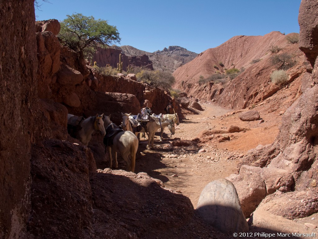 /ecran/Bolivie_0679.jpg