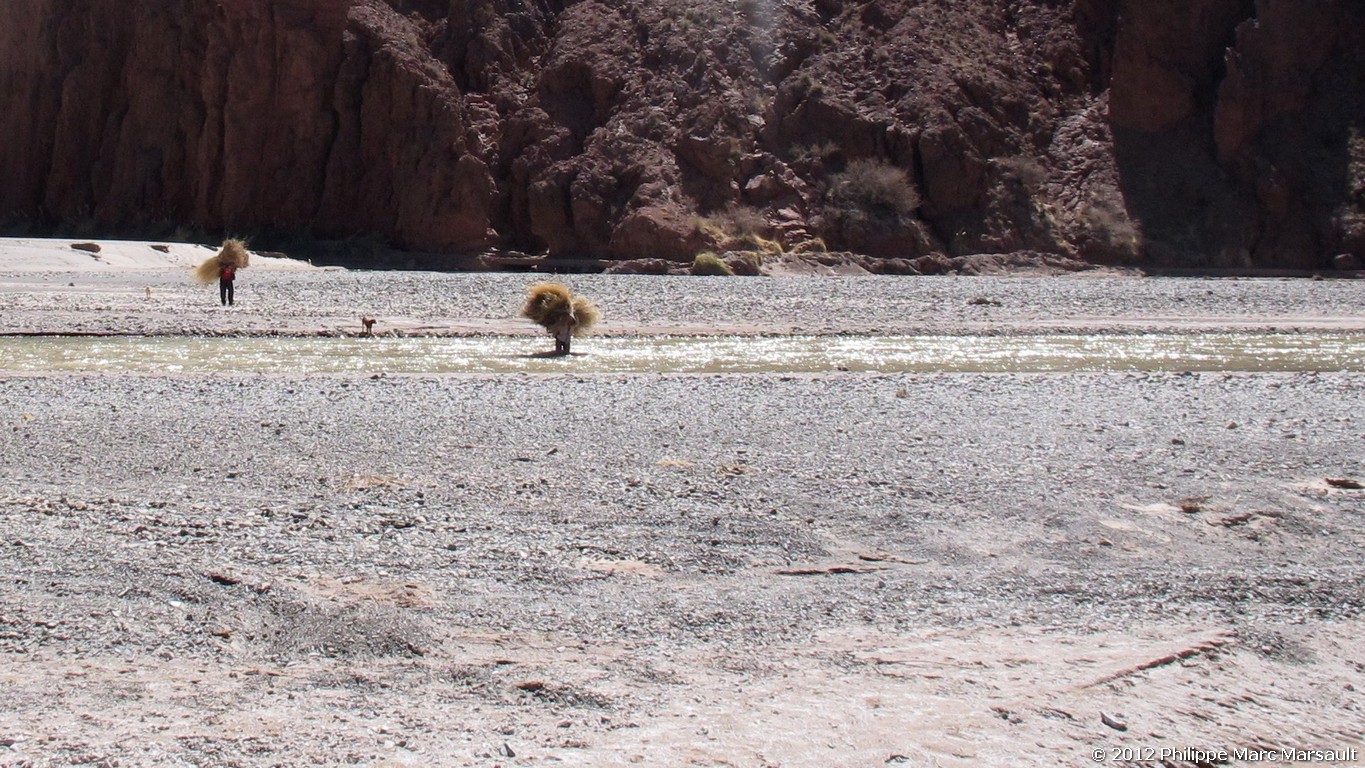 /ecran/Bolivie_0698.jpg