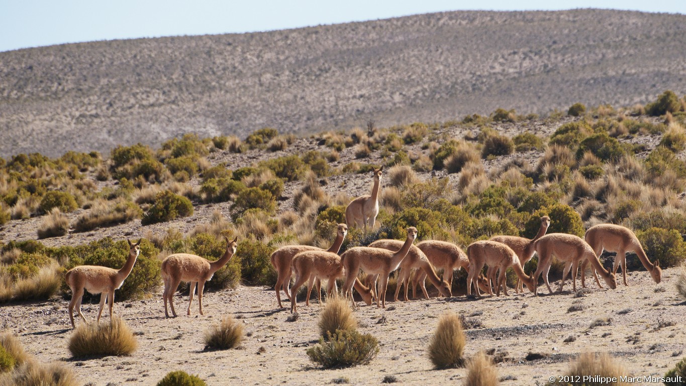 /ecran/Bolivie_0814.jpg