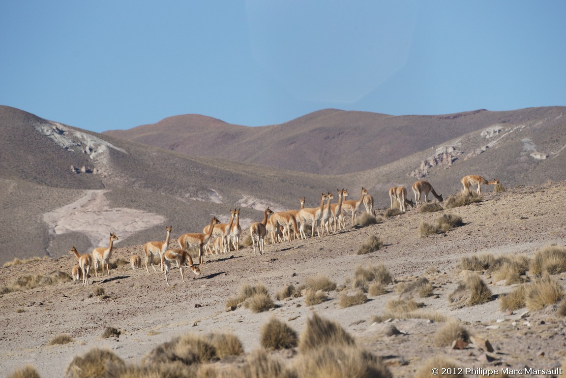 /ecran/Bolivie_0861.jpg