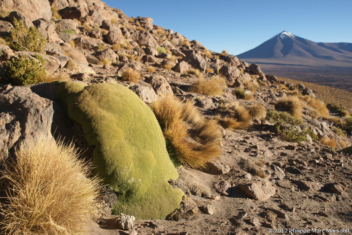 /ecran/Bolivie_0948.jpg