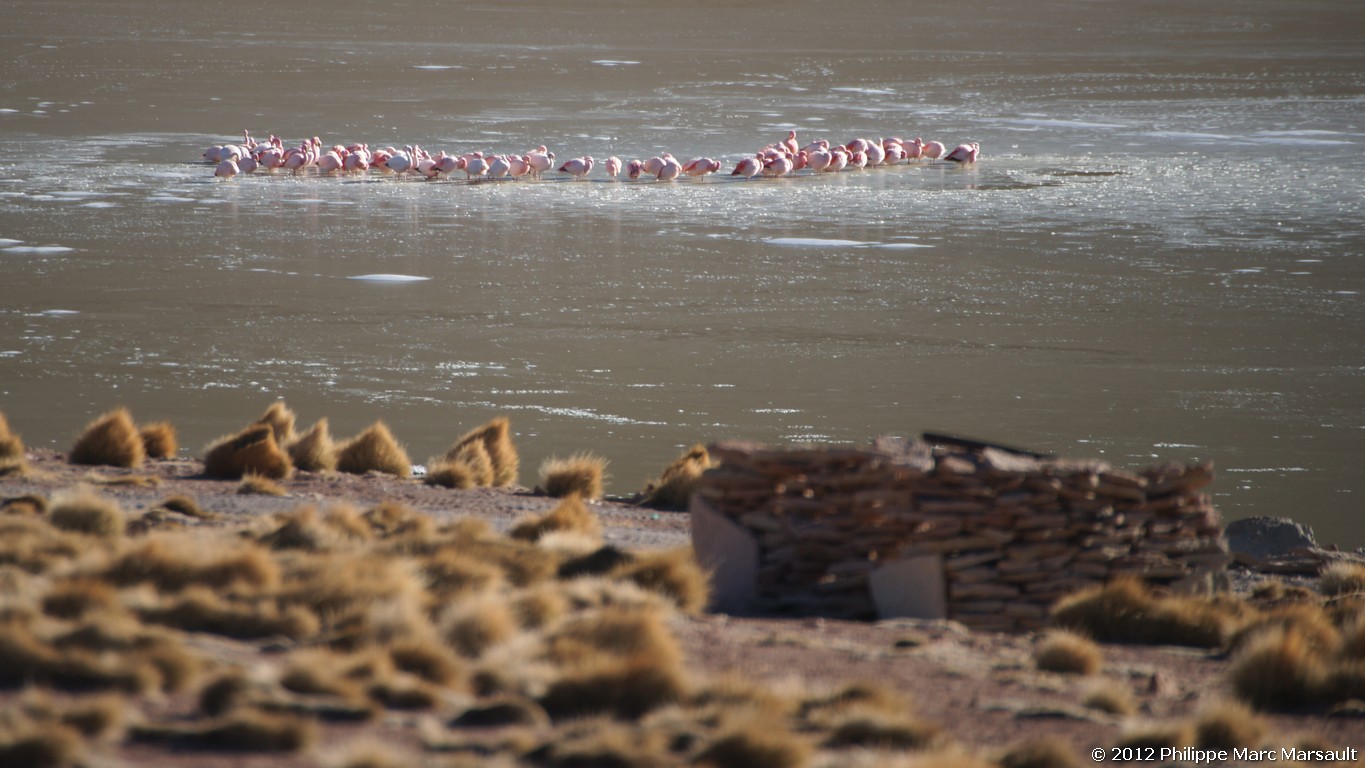 /ecran/Bolivie_0972.jpg