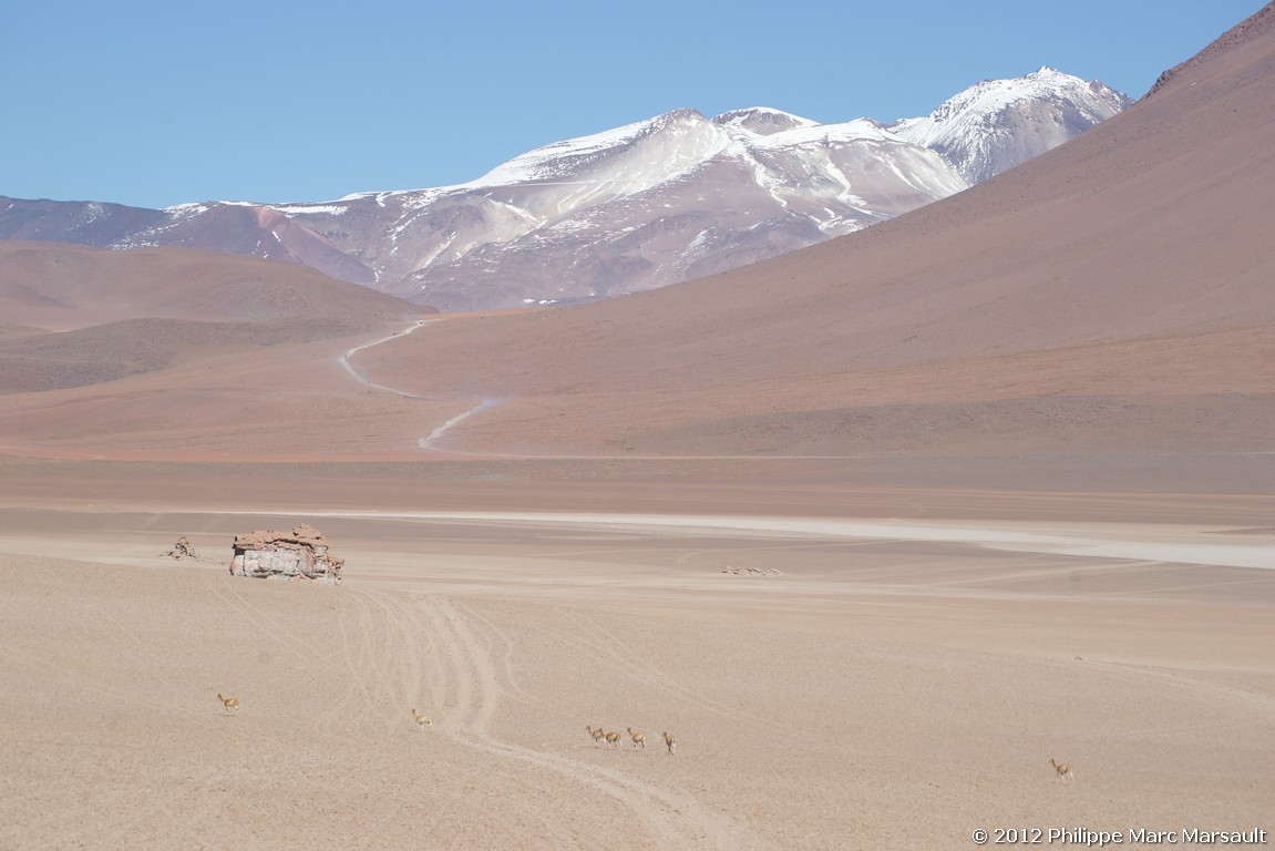 /ecran/Bolivie_1010.jpg