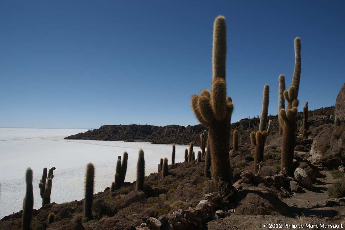 /ecran/Bolivie_1371.jpg