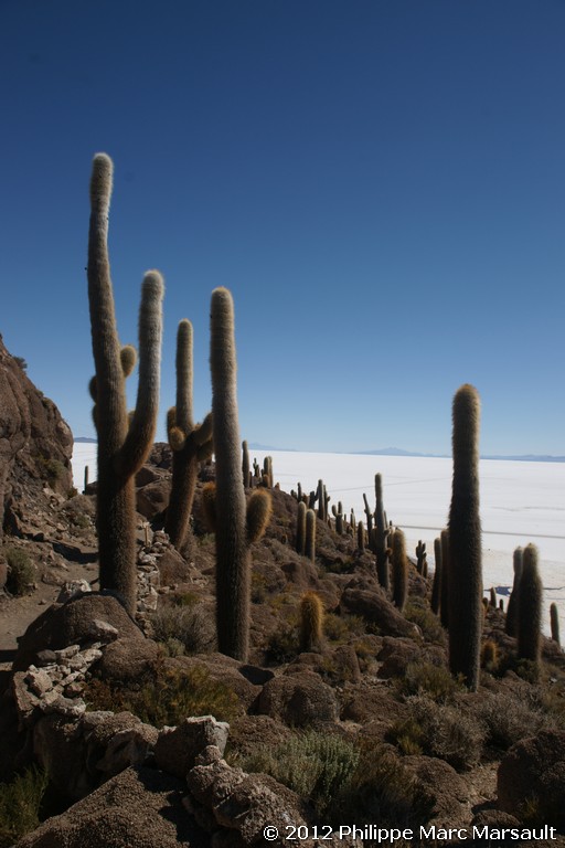 /ecran/Bolivie_1374.jpg