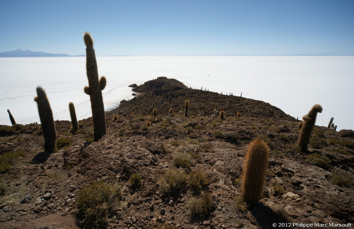 /ecran/Bolivie_1388.jpg