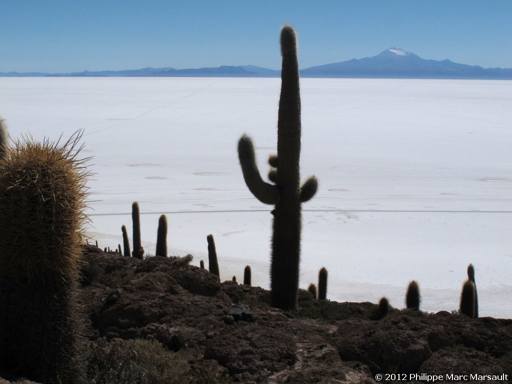 /ecran/Bolivie_1395.jpg