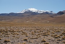 vignette Bolivie_0910.jpg 