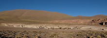 vignette Bolivie_0947.jpg 