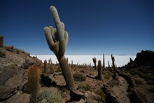 vignette Bolivie_1404.jpg 