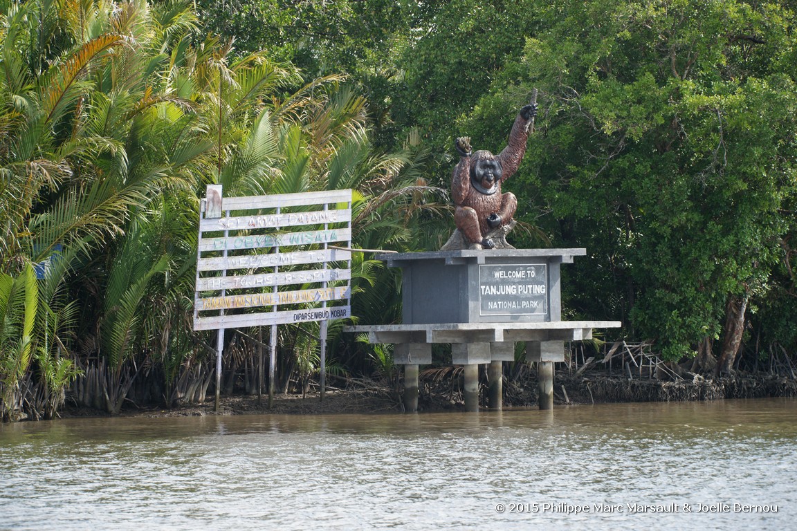 /ecran/Borneo_Bali_2015_0047.jpg