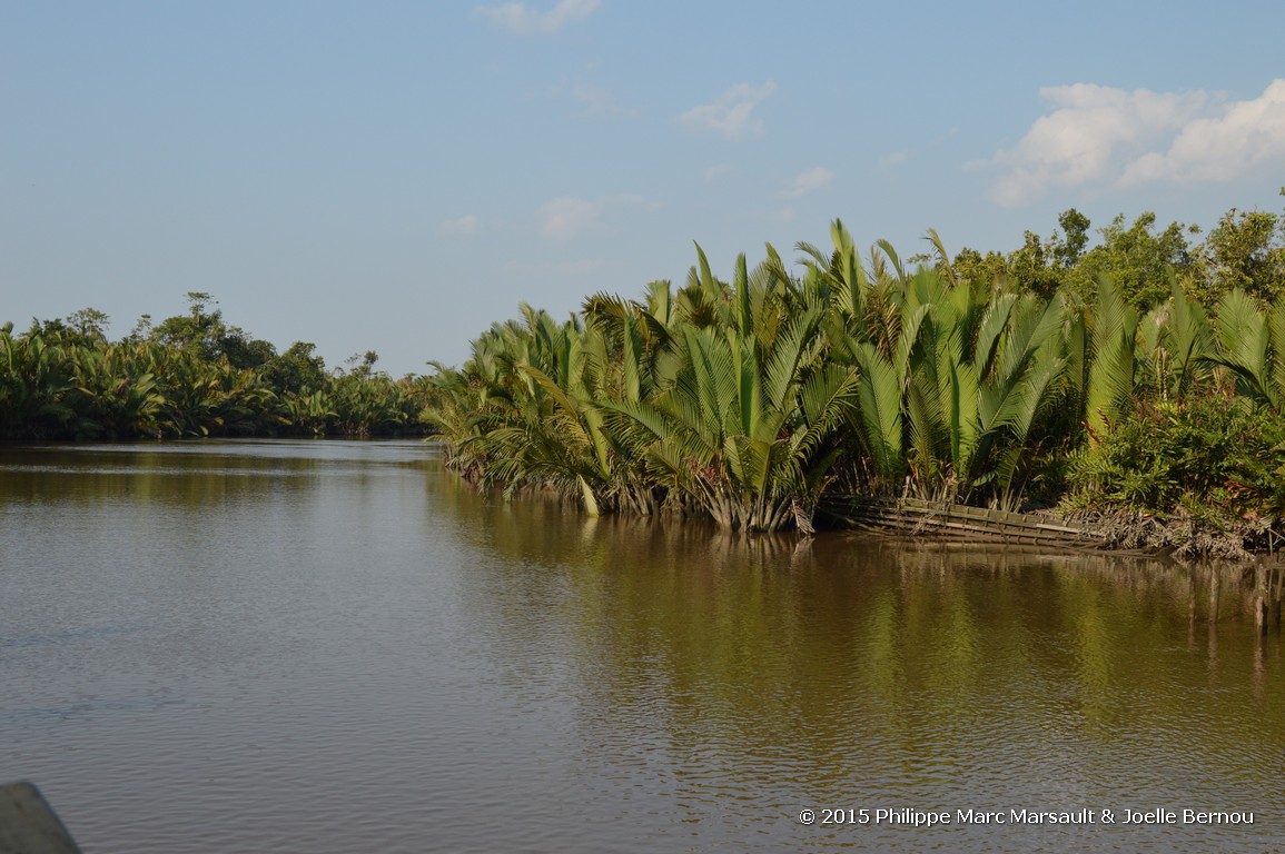 /ecran/Borneo_Bali_2015_0065.jpg