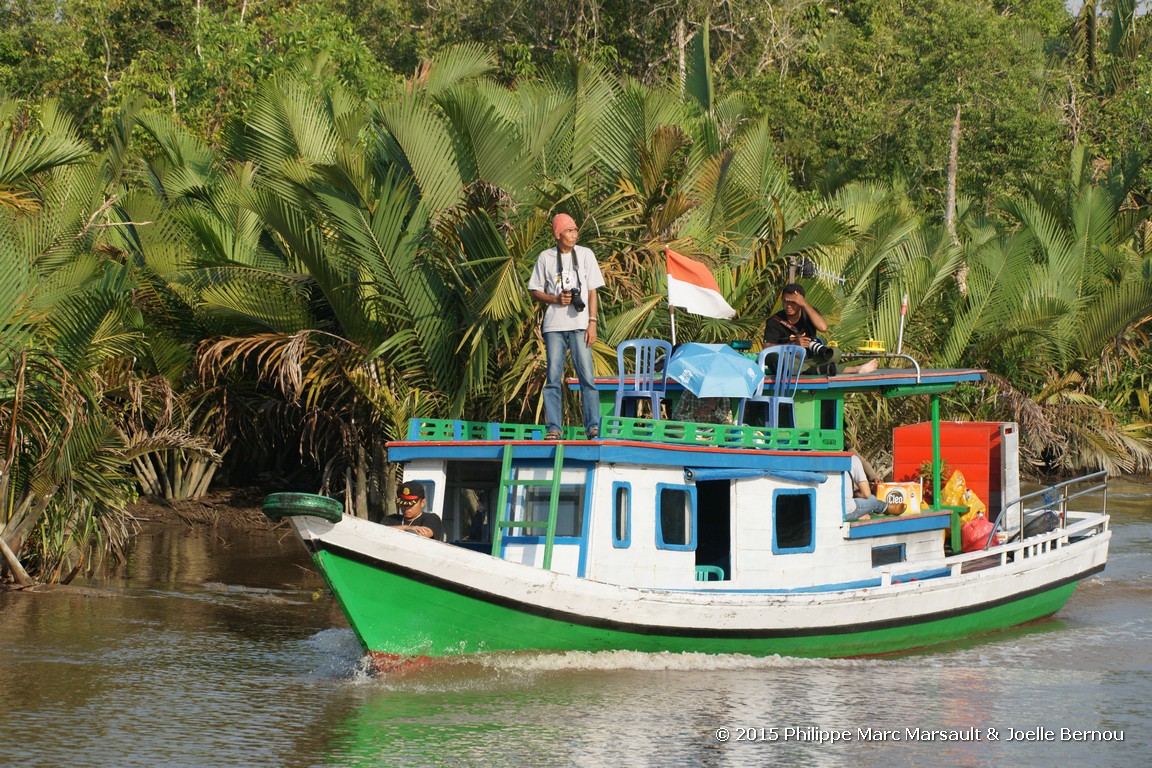 /ecran/Borneo_Bali_2015_0073.jpg
