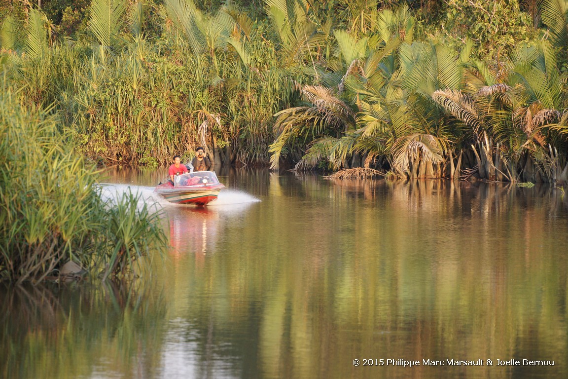 /ecran/Borneo_Bali_2015_0105.jpg