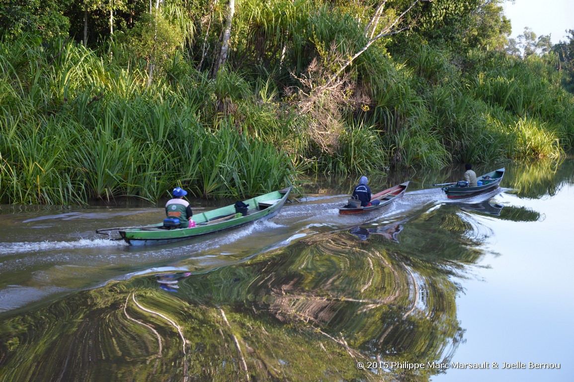 /ecran/Borneo_Bali_2015_0130.jpg
